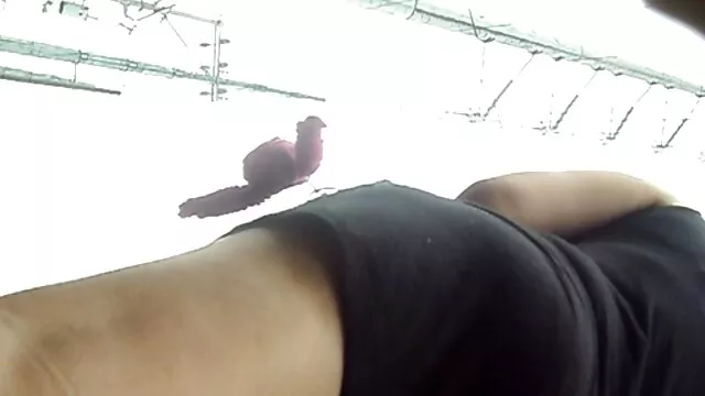 Porno pas d'inscription  Les femmes avec film video pornographie de gros seins envelopper petite amie poivre fort