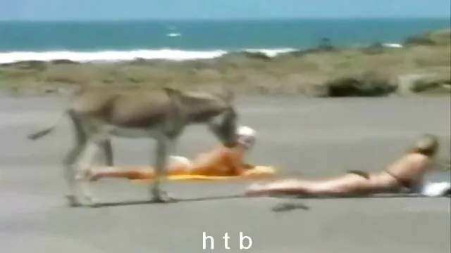 Porno pas d'inscription  Fille mousse bite dans la salle de xxx tu kif bain